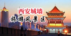 国内操屄高清影院中国陕西-西安城墙旅游风景区